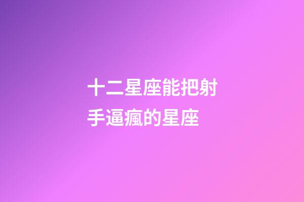 十二星座能把射手逼瘋的星座-第1張-星座運勢-玄機派