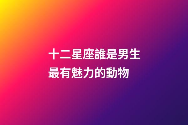 十二星座誰是男生最有魅力的動物-第1張-星座運勢-玄機派