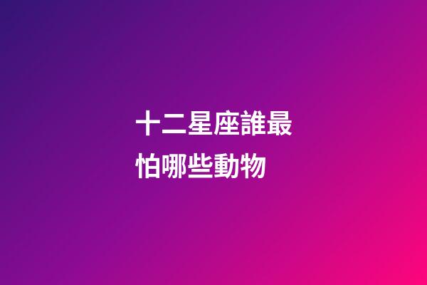 十二星座誰最怕哪些動物-第1張-星座運勢-玄機派