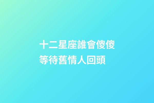 十二星座誰會傻傻等待舊情人回頭-第1張-星座運勢-玄機派