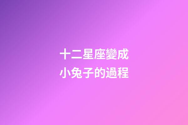 十二星座變成小兔子的過程