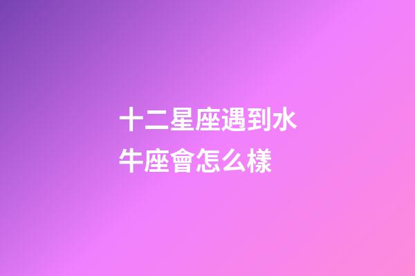 十二星座遇到水牛座會怎么樣-第1張-星座運(yùn)勢-玄機(jī)派
