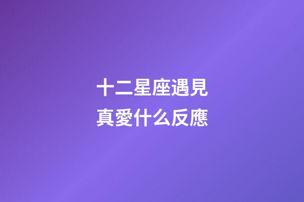 十二星座遇見真愛什么反應-第1張-星座運勢-玄機派