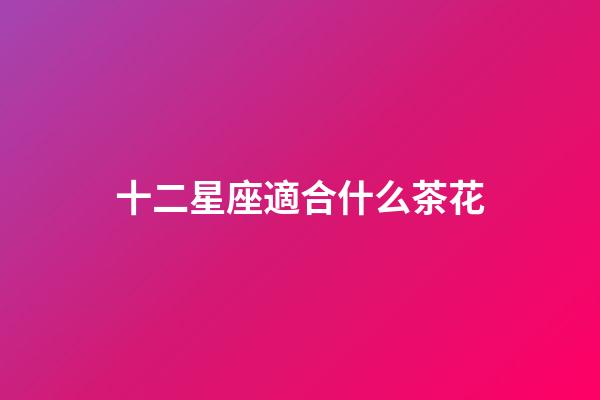 十二星座適合什么茶花