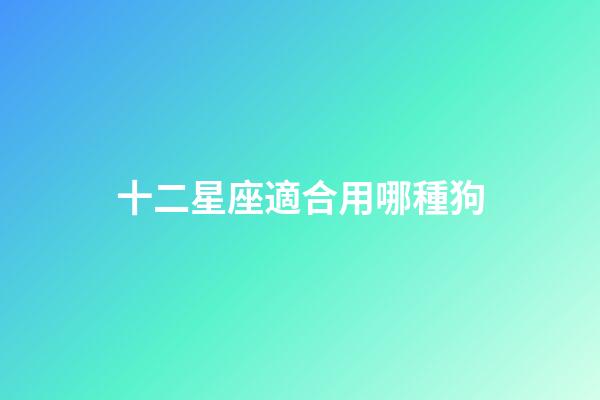 十二星座適合用哪種狗-第1張-星座運勢-玄機派