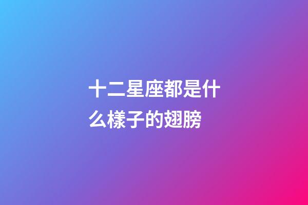 十二星座都是什么樣子的翅膀-第1張-星座運勢-玄機派