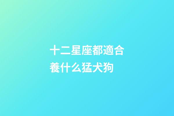 十二星座都適合養什么猛犬狗-第1張-星座運勢-玄機派
