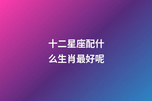 十二星座配什么生肖最好呢-第1張-星座運勢-玄機派