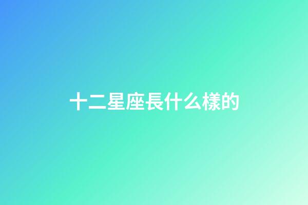 十二星座長什么樣的-第1張-星座運勢-玄機派