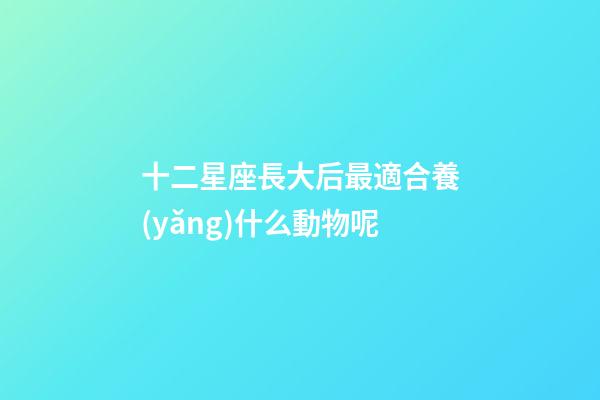 十二星座長大后最適合養(yǎng)什么動物呢-第1張-星座運勢-玄機派