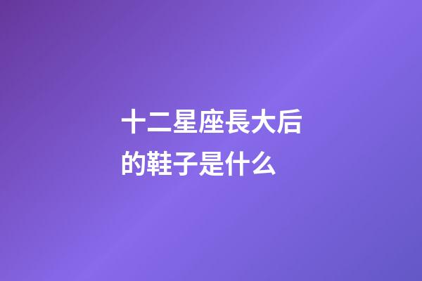 十二星座長大后的鞋子是什么-第1張-星座運勢-玄機派