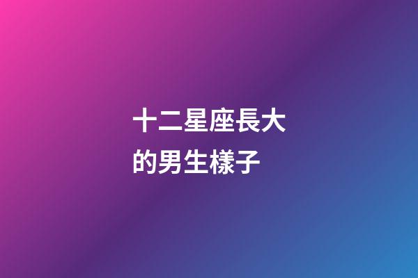 十二星座長大的男生樣子-第1張-星座運勢-玄機派