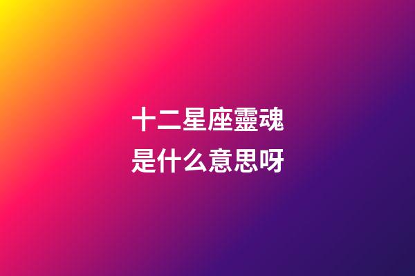 十二星座靈魂是什么意思呀-第1張-星座運勢-玄機派