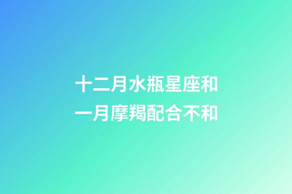 十二月水瓶星座和一月摩羯配合不和-第1張-星座運勢-玄機派