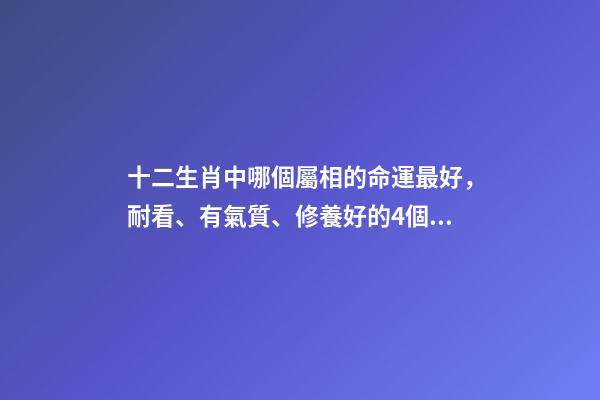 十二生肖中哪個屬相的命運最好，耐看、有氣質、修養好的4個生肖-第1張-觀點-玄機派