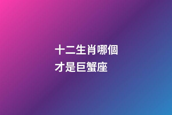 十二生肖哪個才是巨蟹座-第1張-星座運勢-玄機派