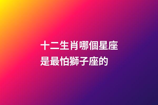 十二生肖哪個星座是最怕獅子座的-第1張-星座運勢-玄機派