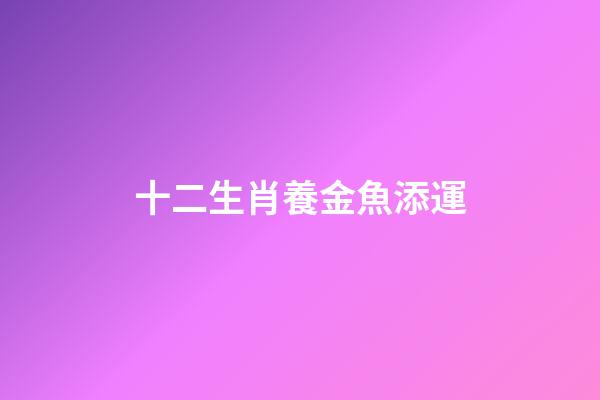 十二生肖養金魚添運