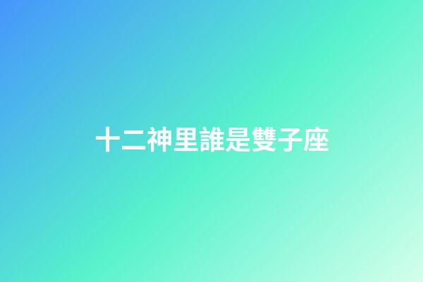 十二神里誰是雙子座