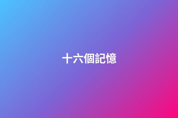 十六個記憶