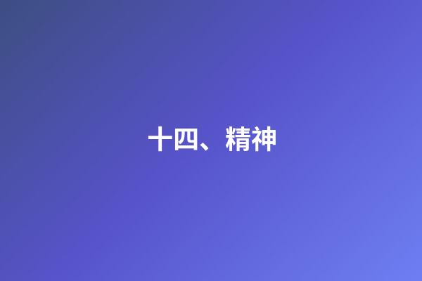 十四、精神