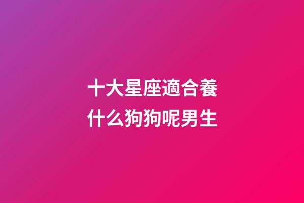 十大星座適合養什么狗狗呢男生-第1張-星座運勢-玄機派