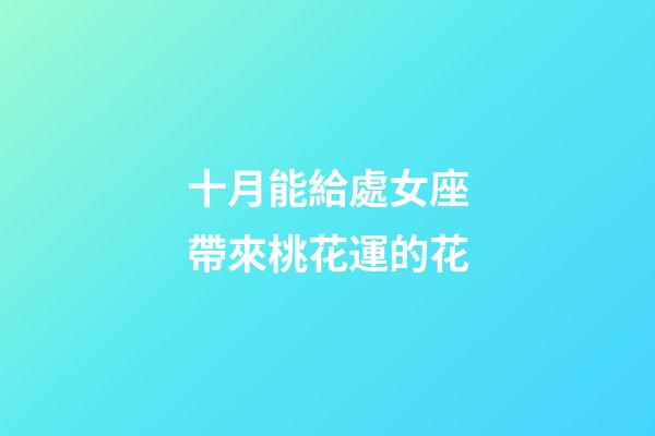 十月能給處女座帶來桃花運的花-第1張-星座運勢-玄機派