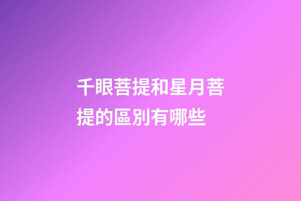 千眼菩提和星月菩提的區別有哪些