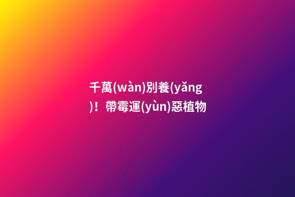 千萬(wàn)別養(yǎng)！帶霉運(yùn)惡植物