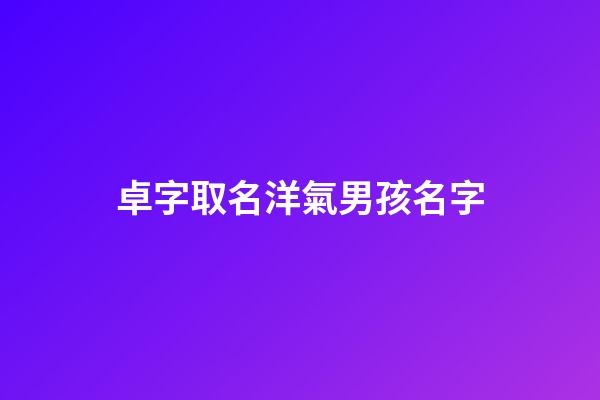 卓字取名洋氣男孩名字(卓和哪個字組合起名字寓意好)-第1張-男孩起名-玄機派