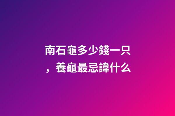南石龜多少錢一只，養龜最忌諱什么