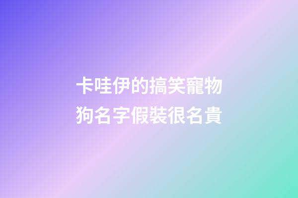 卡哇伊的搞笑寵物狗名字假裝很名貴