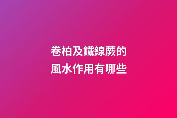 卷柏及鐵線蕨的風水作用有哪些?