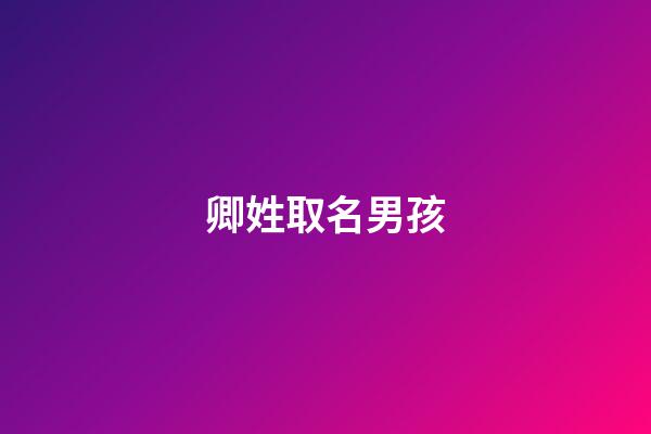 卿姓取名男孩(男孩姓卿配哪個(gè)字好聽)-第1張-男孩起名-玄機(jī)派