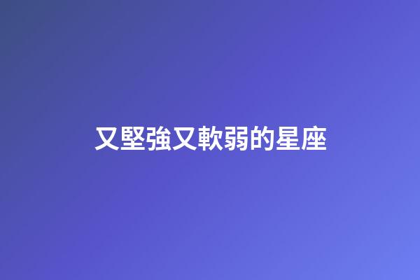 又堅強又軟弱的星座