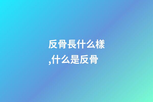 反骨長什么樣,什么是反骨