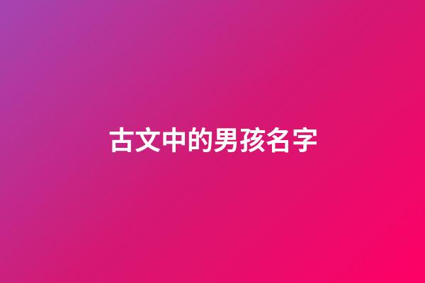 古文中的男孩名字(古文中的男孩名字大全)-第1張-男孩起名-玄機(jī)派