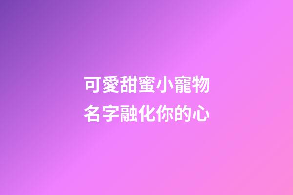 可愛甜蜜小寵物名字融化你的心