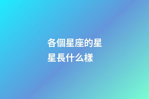 各個星座的星星長什么樣-第1張-星座運勢-玄機派
