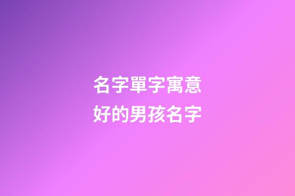 名字單字寓意好的男孩名字(男孩子名字單字寓意的字)-第1張-男孩起名-玄機派