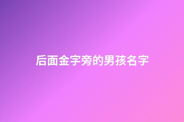 后面金字旁的男孩名字(金字旁的男孩兒名字)-第1張-男孩起名-玄機派