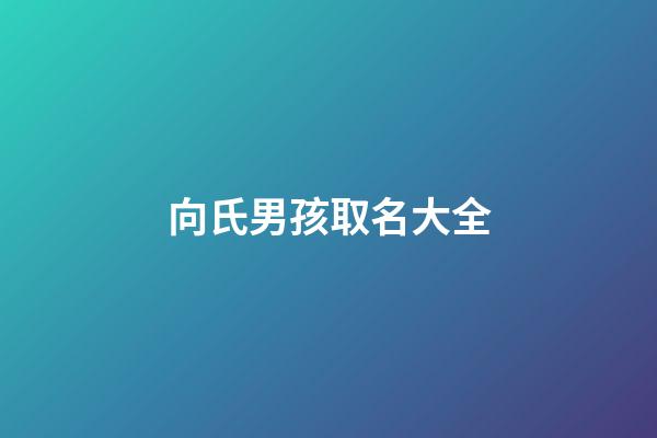 向氏男孩取名大全(向氏男孩取名大全四個字)-第1張-男孩起名-玄機派