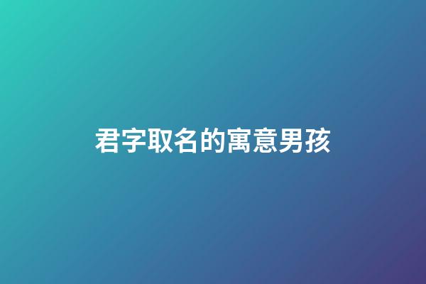 君字取名的寓意男孩(君字取名的寓意字典)-第1張-男孩起名-玄機派