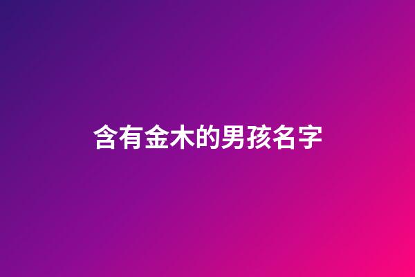 含有金木的男孩名字(含有金木的男孩名字有哪些)-第1張-男孩起名-玄機派