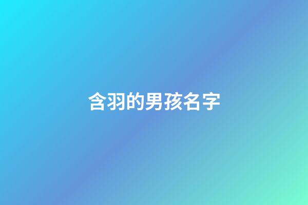 含羽的男孩名字(含羽的男孩名字大全)-第1張-男孩起名-玄機派
