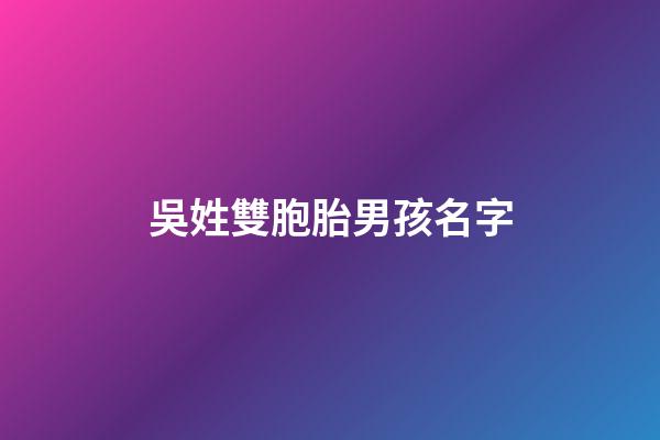 吳姓雙胞胎男孩名字(姓吳的雙胞胎)-第1張-男孩起名-玄機派