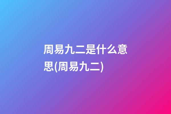周易九二是什么意思(周易九二)