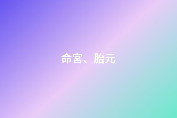 命宮、胎元