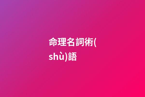 命理名詞術(shù)語