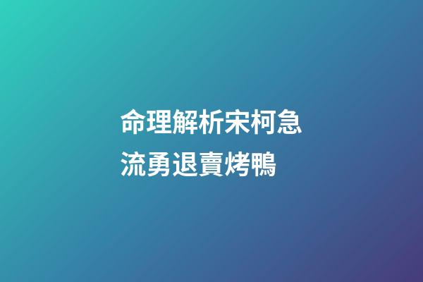 命理解析宋柯急流勇退賣烤鴨